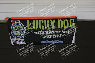 media/Apr-30-2022-Lucky Dog Racing (Sat) [[97c8ea641d]]/Around the Pits/